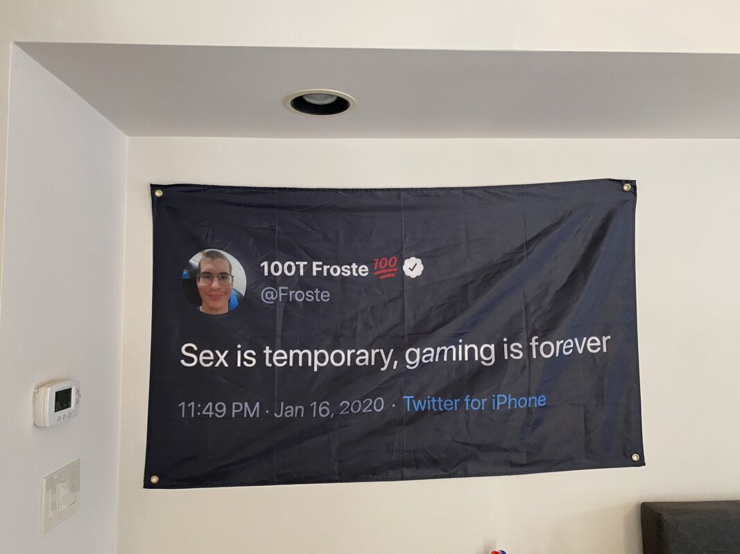 Sex is temporary gaming is forever flag